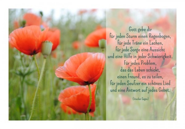 Spruchkarte "Gott gebe Dir"