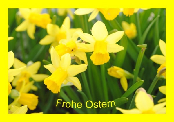Osterkarten "Frohe Ostern"