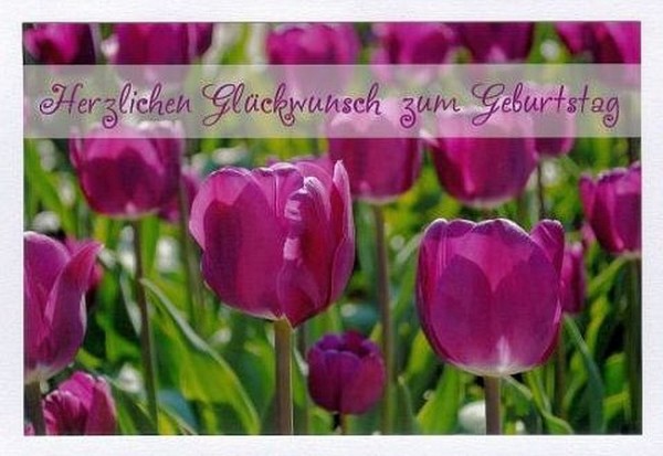 Geburtstagsblumen "Tulpen" KLAPPKARTE & KUVERT Naturzauber