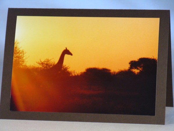 Tierkarten "Giraffe"