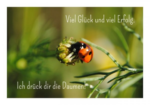 Viel-Glück-Karte "Glück und Erfolg"