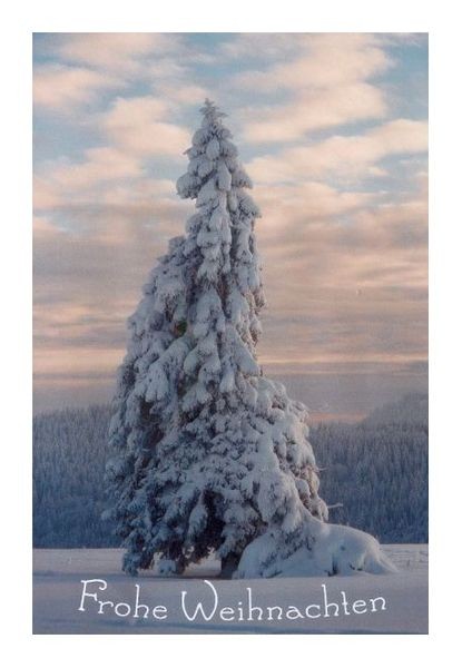 Weihnachtsgrüsse "Schneetanne"