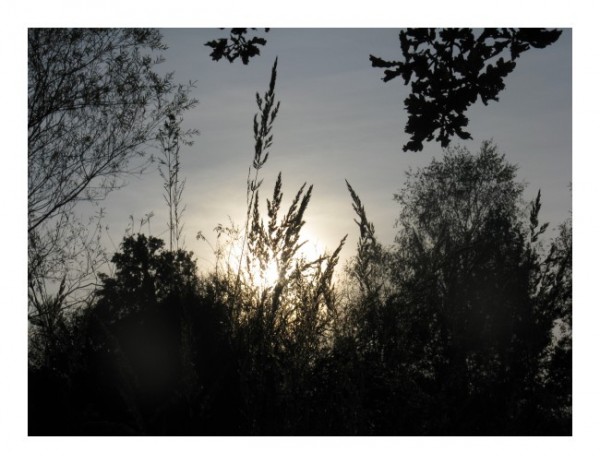 Romantische Karten "Abendstimmung"