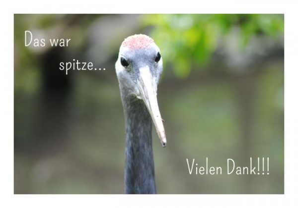 Danksagungskarten "Das war spitze"
