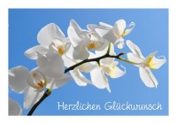 Geburtstagsglückwünsche "Herzlichen Glückwunsch" Geburtstagsglückwünsche "Herzlichen Glückwunsch"