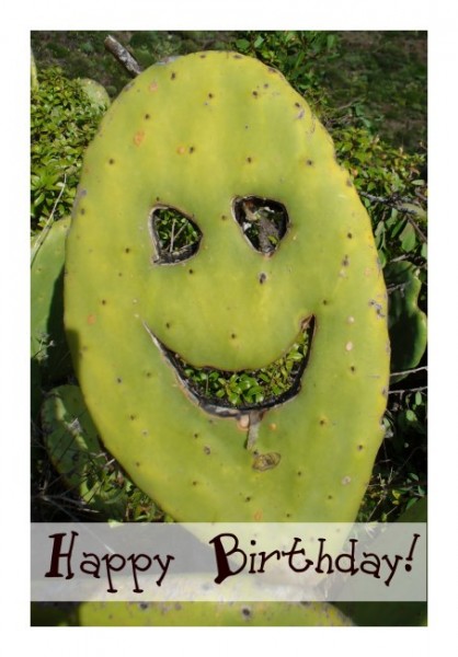 Ausgefallene Geburtstagskarten "Kaktusgesicht"
