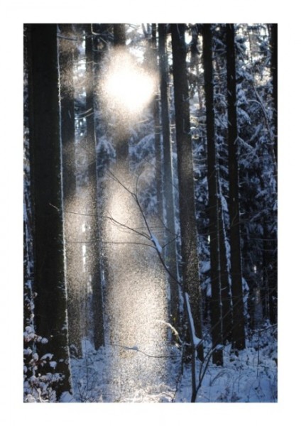 Winterpostkarten "Lichtschimmer"
