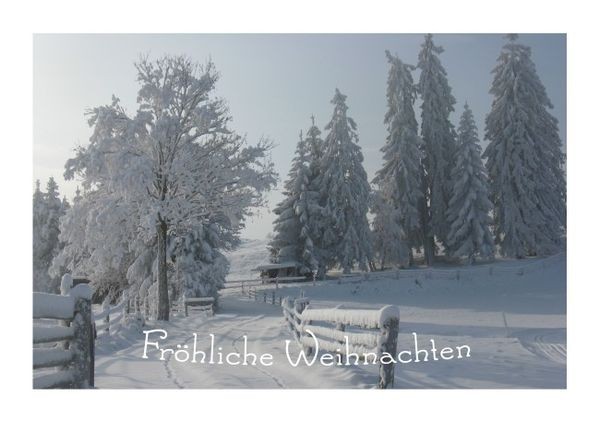 Weihnachtskarte "Schneewelt"