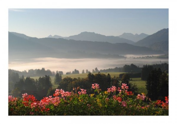 Baumkarten "Zauberlandschaft"