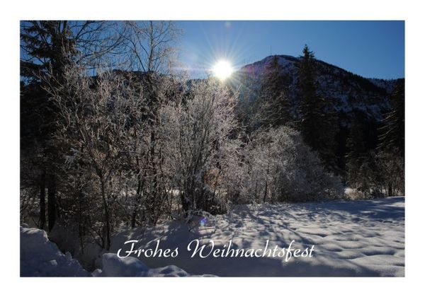 Weihnachtsgrüsse "Sonne"