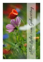 Originelle Geburtstagskarten "Blumengruß" Originelle Geburtstagskarten "Blumengruß"