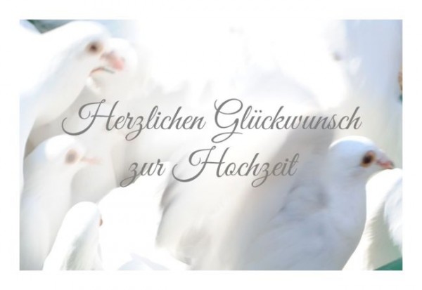 Glückwünsche zur Hochzeit "Tauben"