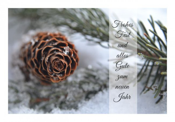 Weihnachtskarte "Tannenzapfen"