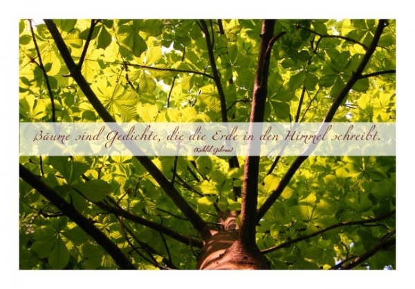 Spruchkarte "Wunder der Natur"