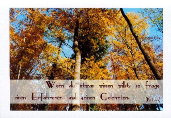 Spruchkarte "Weisheit"