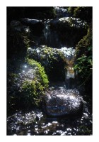 Waldkarten "Wasserfall" Waldkarten "Wasserfall"