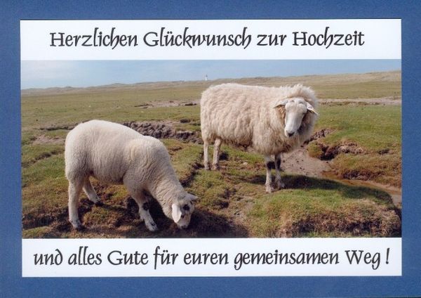 Hochzeitskarten "Schafe" KLAPPKARTE & KUVERT Naturzauber