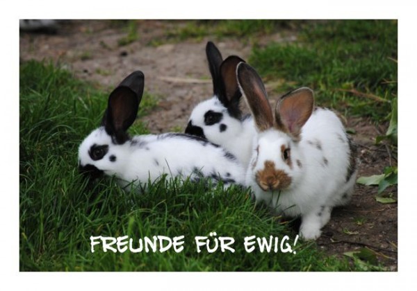 Freundschaftskarten "Freunde für ewig"