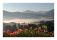 Baumkarten "Zauberlandschaft" Baumkarten "Zauberlandschaft"