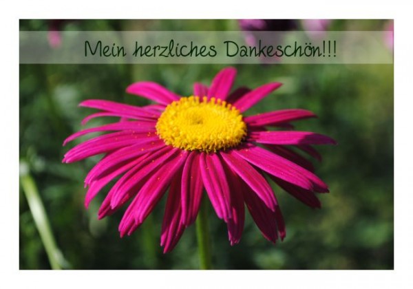 Dankeskarte "Mein herzliches Dankeschön"