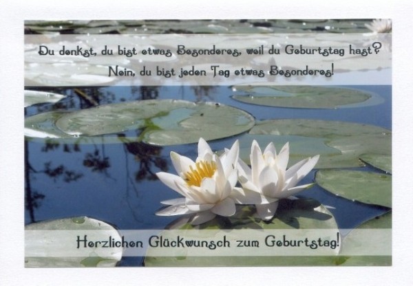 Geburtstagsglückwünsche "Seerosenpaar"