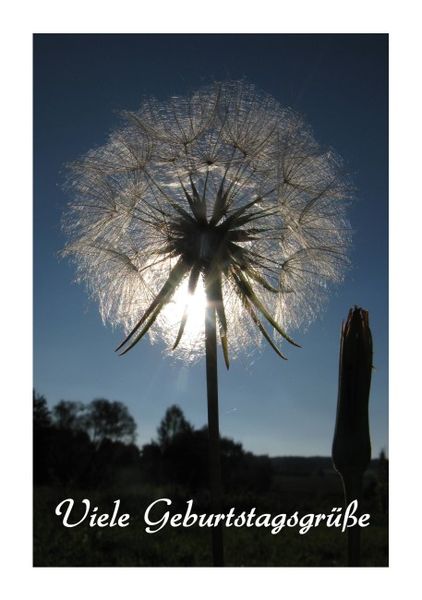 Geburtstagskarten "Pusteblume1" KLAPPKARTE & KUVERT Naturzauber