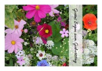 Christliche Geburtstagskarten "Bunte Blumen" Christliche Geburtstagskarten "Bunte Blumen"