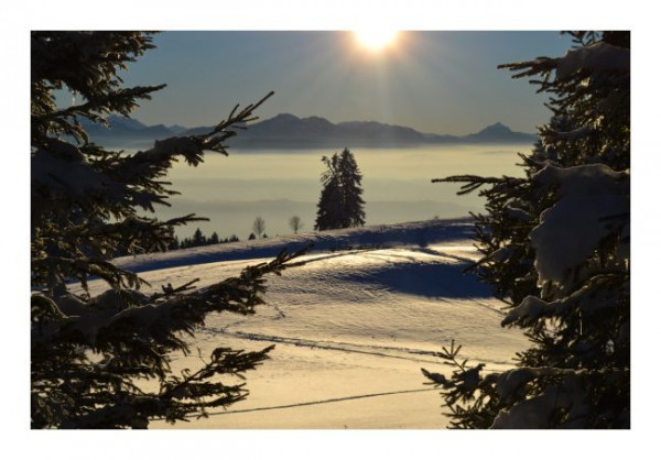 Winterkarte "Schneeparadies"