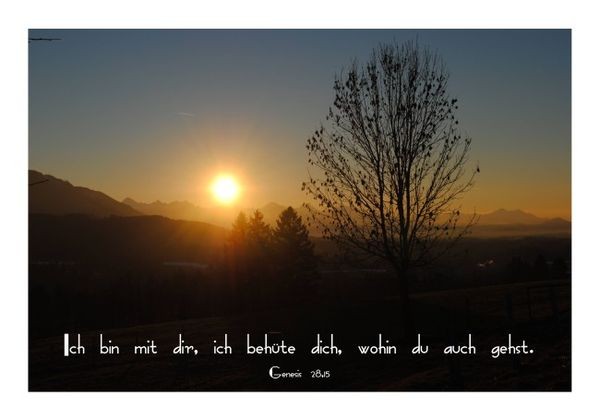 Beileidskarten "Behütet sein"