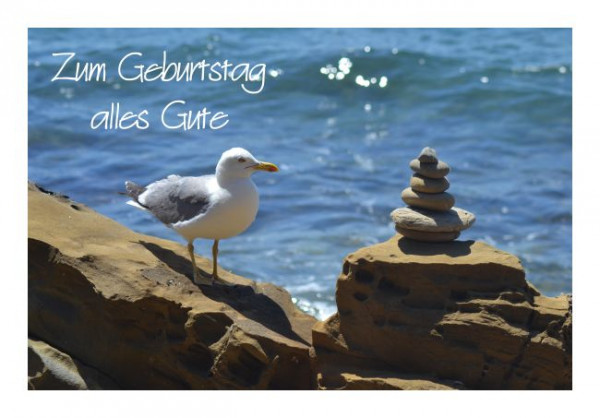 Geburtstagskarte "Seemöwe"
