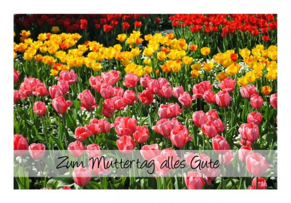 Muttertagskarte "Alles Gute"