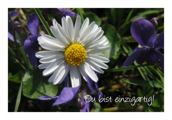 Liebeskarten "Du bist einzigartig"