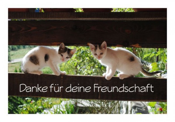 Freundschaftskarten "Danke für Deine Freundschaft"