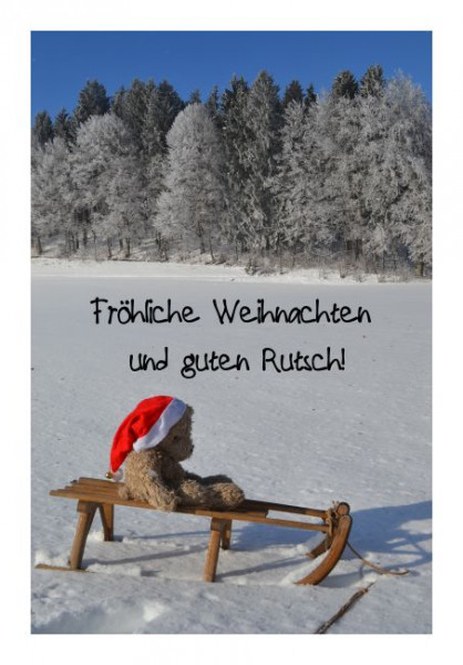Weihnachtskarte "Schlittenbär"
