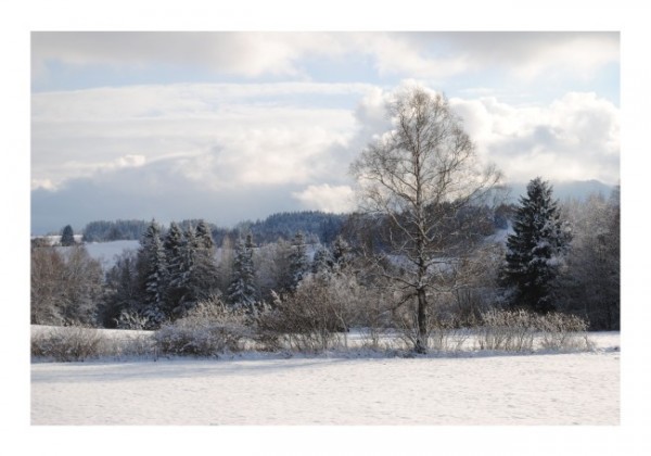 Schneekarten "Winterlandschaft-2"