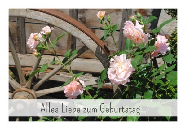 Geburtstagskarten "Alles Liebe zum Geburtstag"