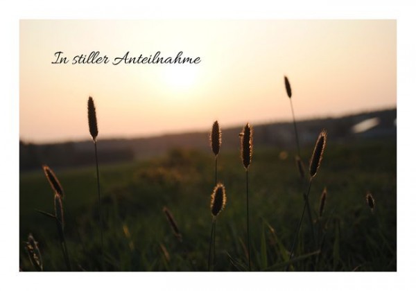 Beileid Karte "In stiller Anteilnahme"