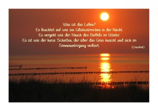 Sprüchekarten "Wunder des Lebens"