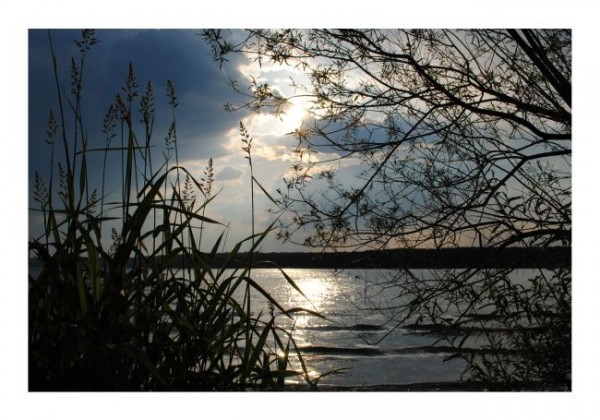 Romantische Postkarten "Waldsee"