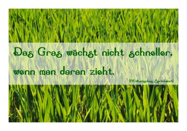 Karten mit Sprüchen "Geduldig"