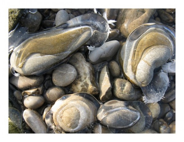 Schneekarten "Eissteine"