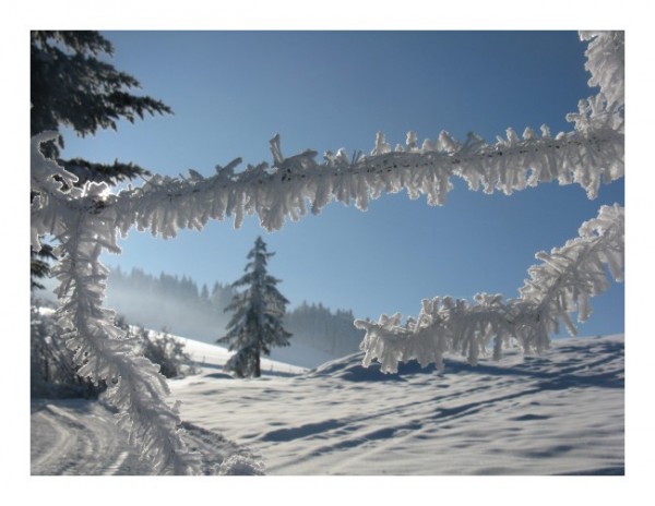 Winterkarten "Schneezaun-3"