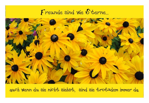 Sprüchekarte "Freunde"