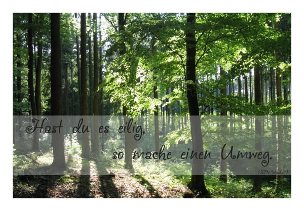 Sprüchekarte "Keine Eile"