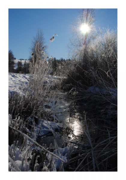 Winterpostkarten "Winterbach"