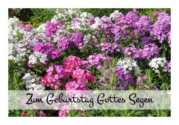 Christliche Geburtstagskarten "Blumenwiese"