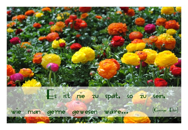 Sprüchekarte "Wahrhaftigkeit"