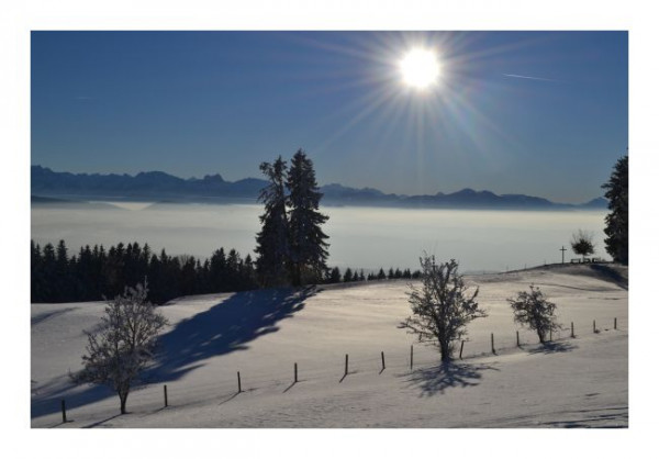 Winterkarte "Wunderland"