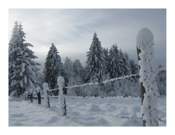 Schneekarte "Schneezaun-4"