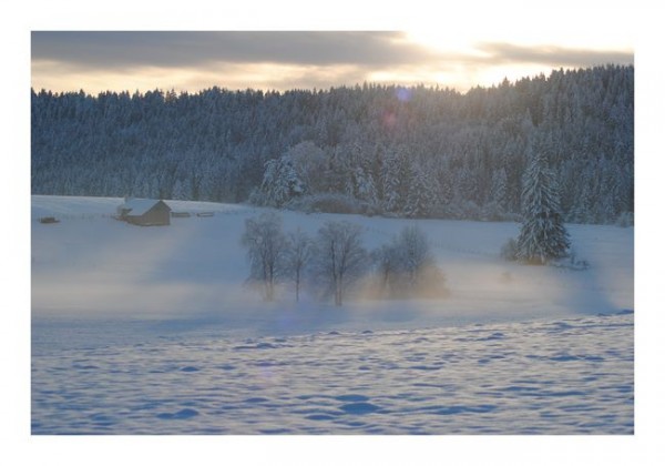 Winterpostkarten "Winterwelten"